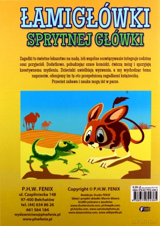 Łamigłówki sprytnej główki [KSIĄŻKA]