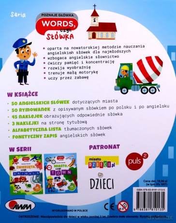 Miasto czyli town - Katarzyna Vanevska [KSIĄŻKA]