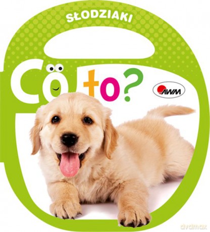 Słodziaki. Co to - Piotr Kozera [KSIĄŻKA]