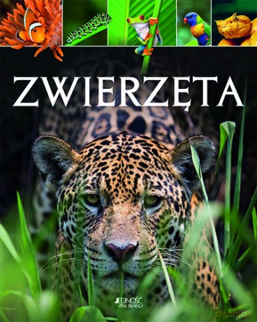 Zwierzęta [KSIĄŻKA]