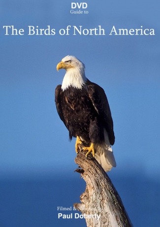 Birds Of North America [2DVD]