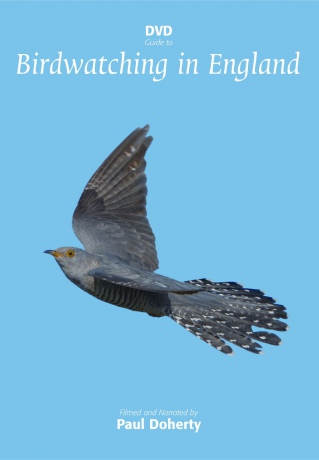Birdwatching In England [DVD]