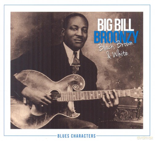 Big Bill Broonzy: Black Brown And White [2CD]