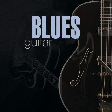 Blues Guitar [CD]