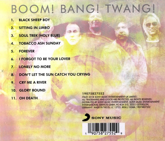 Steve Ellis: Boom! Bang! Twang! [CD]