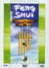 Feng Shui (2005) [DVD] [PRZECENA]