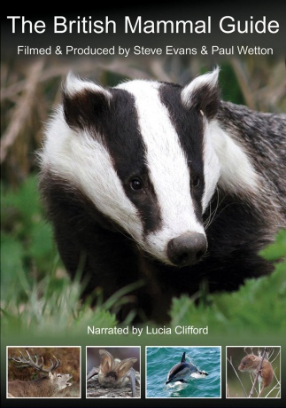 Steve Evans: British Mammal Guide [2DVD]