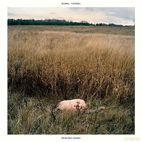 Sinai Vessel: Brokenlegged [CD]
