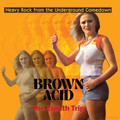 Brown Acid: The Eighth Trip [CD]