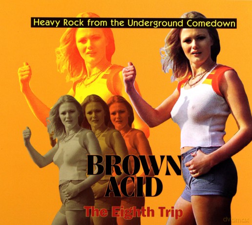 Brown Acid: The Eighth Trip [CD]