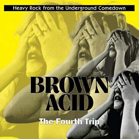 Brown Acid: The Fourth Trip [Winyl]