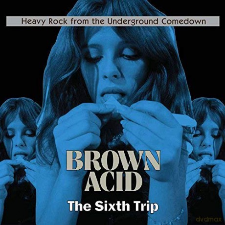 Brown Acid: The Sixth Trip [Winyl]