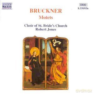 Ch Of St Bridesjones: Brucknermotets [CD]