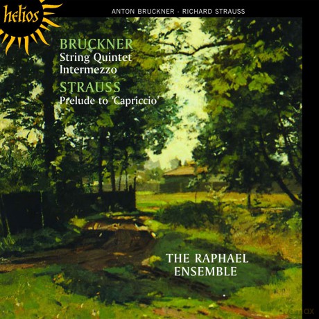 Raphael Ensemble: Brucknerstring Quintetstraussprelude [CD]