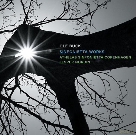 Athelas Sinfoniettanordin: Bucksinfonietta Works [CD]