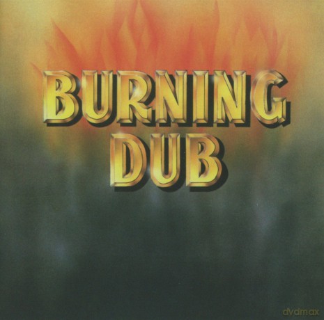 Revolutionaries: Burning Dub [CD]
