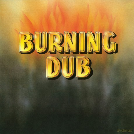 Revolutionaries: Burning Dub [Winyl]