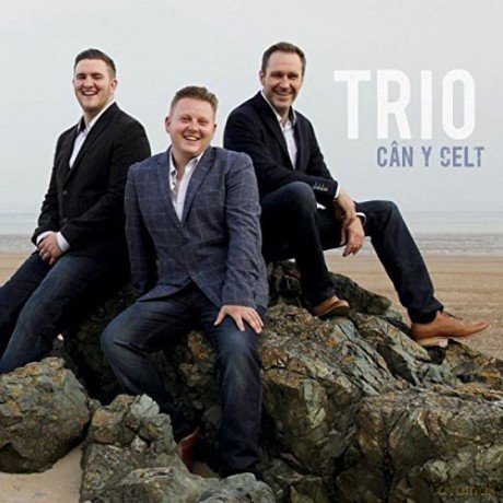 Trio: Can Y Celt [CD]
