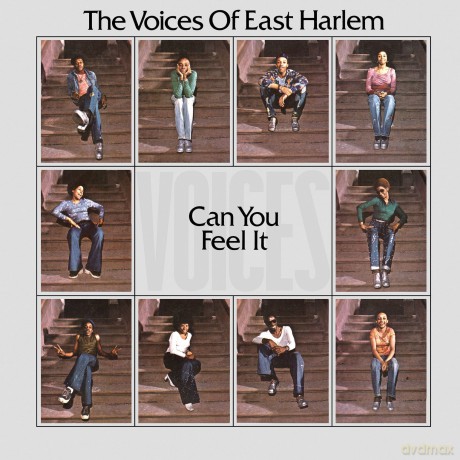 Voices Of East Harlem: Can You Feel It [Winyl]