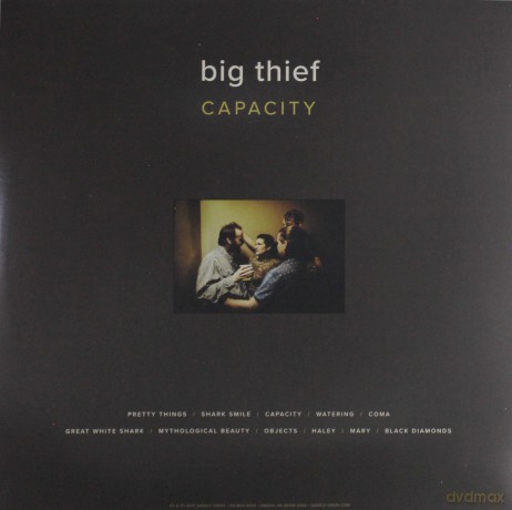 Big Thief: Capacity [Winyl]