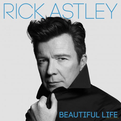 Rick Astley: Beautiful Life [KASETA]