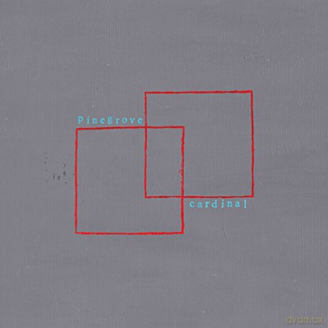 Pinegrove: Cardinal [Winyl]