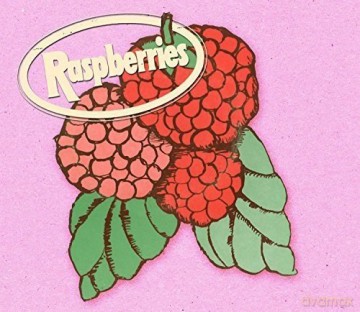Raspberries: Classic Album Set [4CD]
