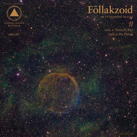 Follakzoid: 2 [Winyl]
