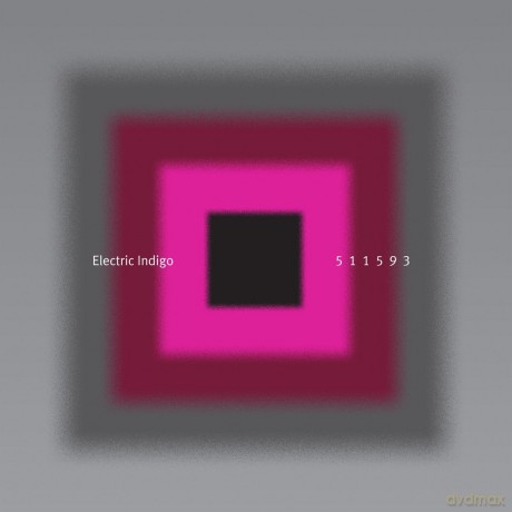 Electric Indigo: 511593 [CD]