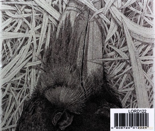 Earth: A Bureaucratic Desire For Extr [CD]