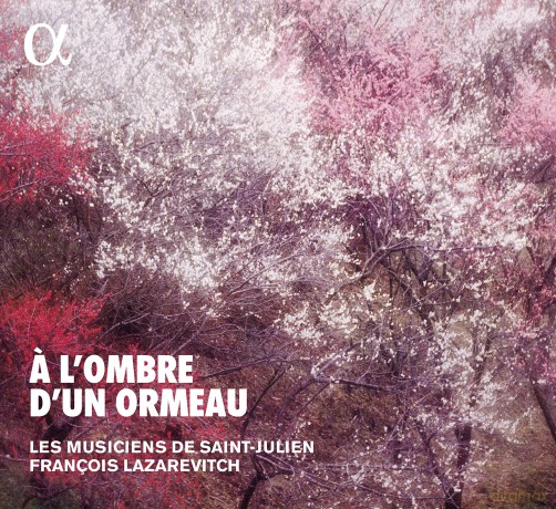 Les Musiciens De Saint-Julien: A L'Ombre D'Un Ormeau [CD]
