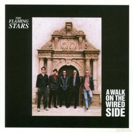Flaming Stars: A Walk on the Wired Side [CD]