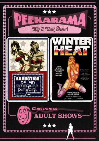 Abduction of an American Playgirl + Winter Heat [DVD]
