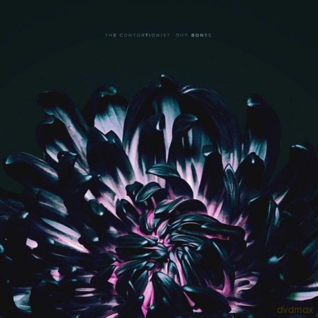 The Contortionist: Our Bones [CD]