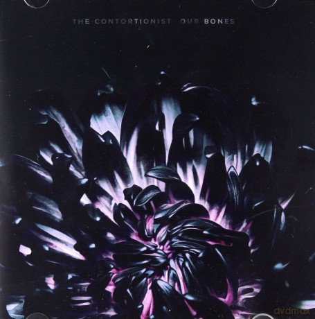 The Contortionist: Our Bones [CD]