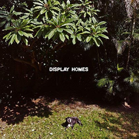 Display Homes: Climate Change [Winyl]