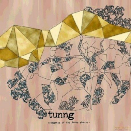 Tunng: Comments Of The Inner Chorus [Winyl]