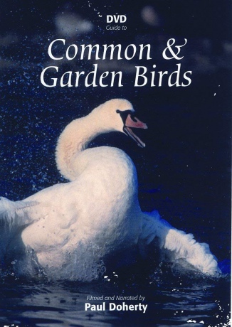 Common Garden Birds [DVD]
