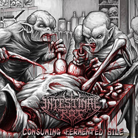 Intestinal Rot: Consuming Fermented Bile [CD]