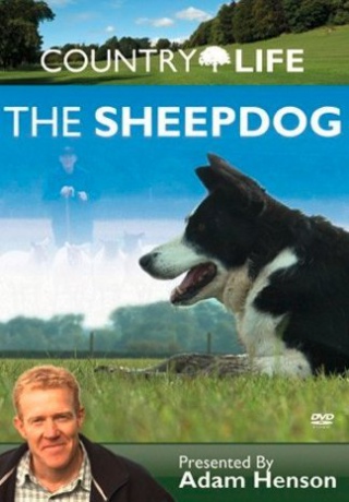 Country Life The Sheep Dog [DVD]