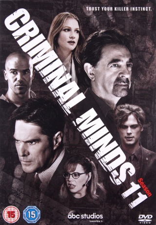 Criminal Minds Season 11 (Zabójcze umysły) [5DVD]