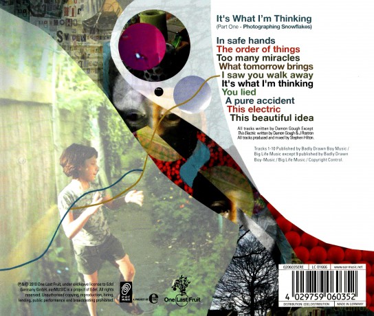 Badly Drawn Boy: It's What I'm Thinking Part 1 - Photographing Snowflakes [CD]