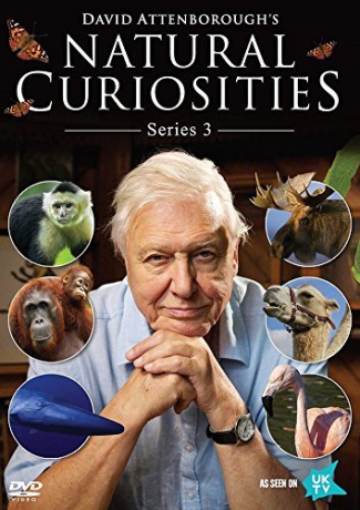 David Attenborough's Natural Curiosities Season 3 [DVD]