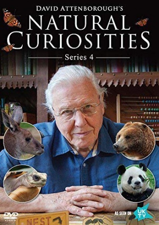 David Attenborough's Natural Curiosities Season 4 [DVD]