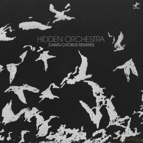 Hidden Orchestra: Dawn Chorus Remixes [2xWinyl]
