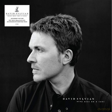 David Sylvian: Dead Bees On A Cake [2xWinyl]