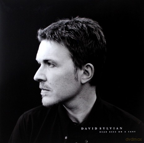 David Sylvian: Dead Bees On A Cake [2xWinyl]