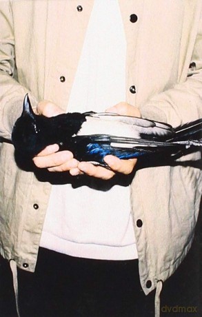 Sam Fender: Dead Boys [KASETA]
