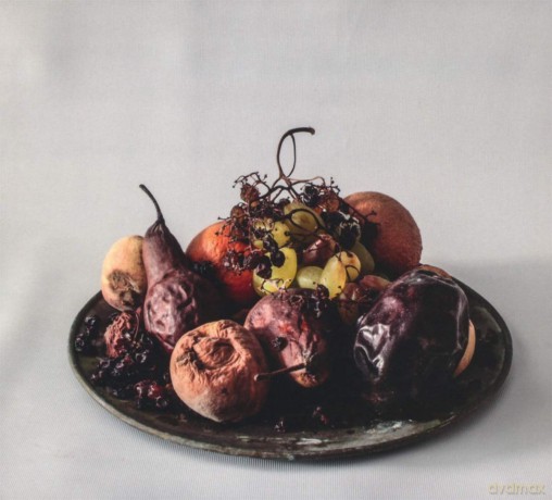 Lotus Eaters: Desatura [CD]