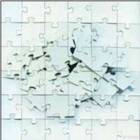 Not Scientists: Destroy To Rebuild [CD]